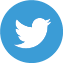 blue bird twitter logo